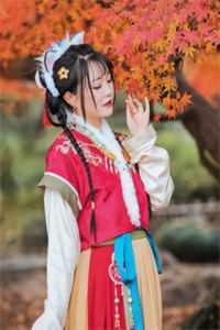 美人宴小说全文免费阅读盼春苏念安