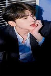 宋庭深林安安的小说庭深不见归鸿影