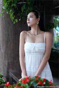 月光洒下离人巷谢诚景洛婉雪结局+番外小说