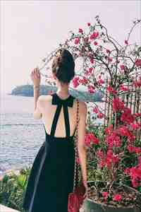 宋毅孟逐星的小说星辰坠落时小说阅读