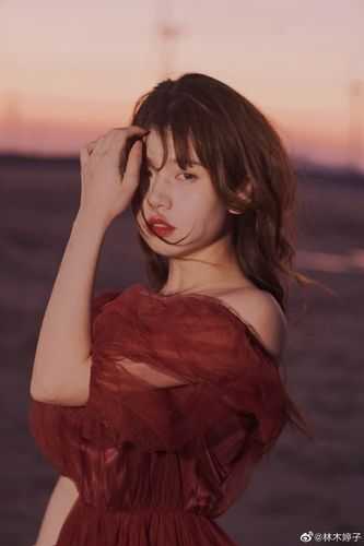 爱到最后是放手沈叙白苏南星番外