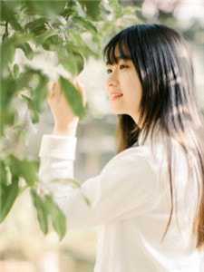 表白女神失败后，我在游戏里养的猫娘成精了幽姬林雨湘完结版小说