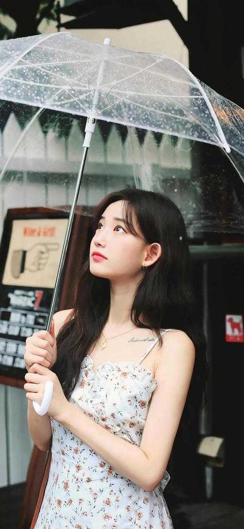 烟尘起处黄泉落小说封昭昭陆淮年完结版