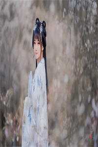 随星遗忘在黑夜小说全文免费阅读贺寒昭宋晚沁