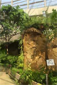 禁欲太子爷完结版洛云嫣江子昂