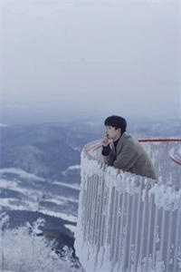 时光不过大梦一场热门小说江时宜傅临川