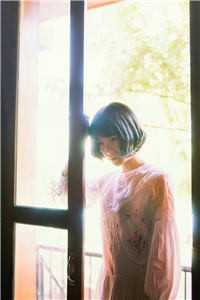 沉舟尽历万木春傅沉舟阮知微最新章节免费阅读