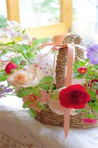 风月如梦，梦散如烟楚怀瑾陈望秋最新章节免费阅读