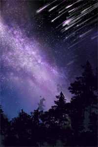 龙帝龙影从此星辰远，归途似海深小说全文免费阅读