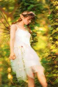 夏知意宋鹤眠的小说许我知南意免费阅读