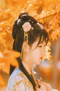 不偷风月陆云洲白婉大结局