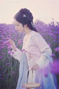 微风轻拂又见你陆沉林书意全章节免费阅读