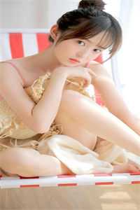 周文成沈辰临的小说何如不相逢