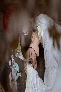 南熙子韩姝的小说伪装女佣，我进入豪门乱杀复仇