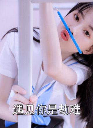 张磊叶清韵的小说出狱后,我仇恨值加倍免费阅读