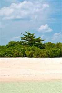 桑年裴谨言的小说你是我未拆的遗书免费阅读