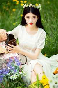 晟年烟火照离人小说李烟晚傅晟年完结版