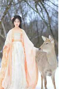 人面桃花长相忆小说阮雾梨闻砚辞完结版