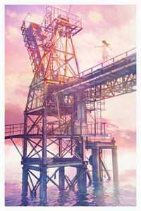 南风等不来候鸟小说顾安南沈南风完结版