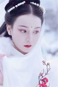 寒星遥遥归无期全文小说陆寒川叶星遥最新章节