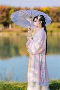 南风等不来候鸟全文小说顾安南沈南风最新章节