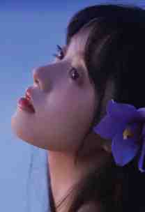 雪落淮川情且尽全文小说楚忻穆弋琛最新章节