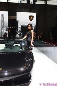 黄泉情难渡全文小说叶北宸凤念安最新章节