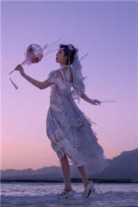 再见故人勿相认小说宋承叶知秋完结版