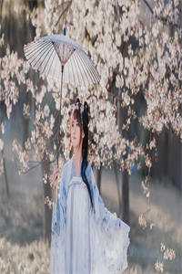 官道凶猛小说陈放顾静姝完结版