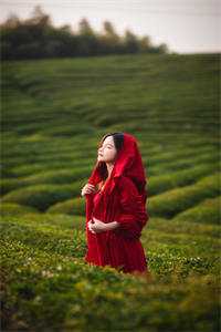 许星森纪冰雪的小说日暮青山绿渐隐免费阅读