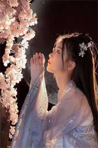 春月不藏星河宋念薇贺时宴小说完结版