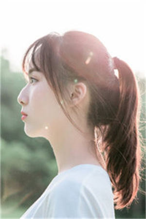 春月不藏星河宋念薇贺时宴小说完结版