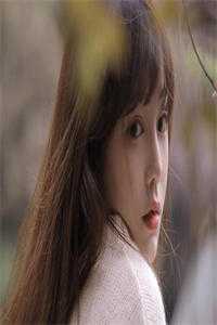 朝朝暮暮不相逢完结版小说全章节目录阅读