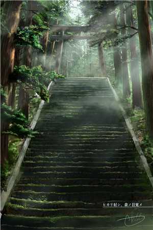 此去经年人未还小说霍沉洲沈青禾