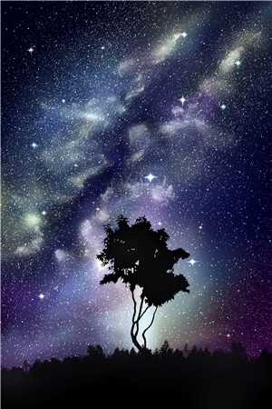 桃花依然笑春风小说云梵音陆乘渊