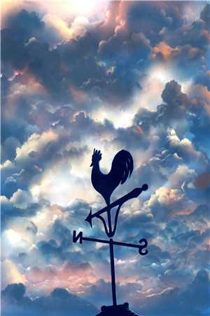 被丈母娘嫌弃送外卖后，我杀疯了小说张倩冉热汤