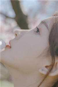 京城玫瑰被天价拍卖后，狗男人悔疯了秦怀礼怀礼全章节小说