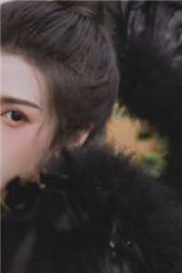 人在玄幻，开局被气运之子贴脸开大全文林枫凤倾仙