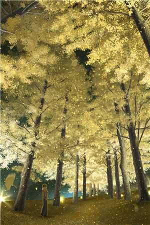 听风吻过盛夏全文温初夏江时南