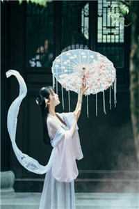 权道之夫人们太给力了全文李静怡林皓