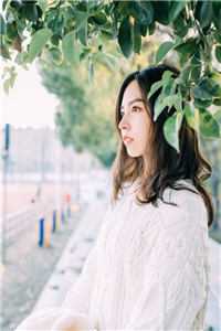 仕途风暴无删减全文