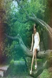 心如远山枯如木，爱恨别再言小说全文免费阅读池慕笙方其玉