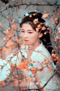 我向她求婚九十九次后小说全文免费阅读