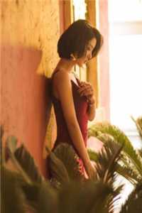 顾青离纪霆琛的小说潇潇暮雨洒江天免费阅读