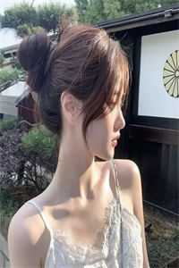 大明第一贪官小说朱元璋叶青