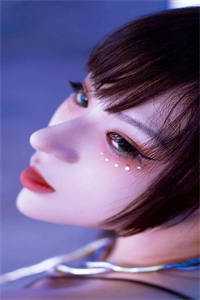 暗香疏影共朝暮小说苏予安陆照雪