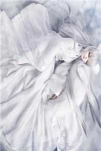 被骗十二年后我杀疯全场宋景洛筱筱小说完结版