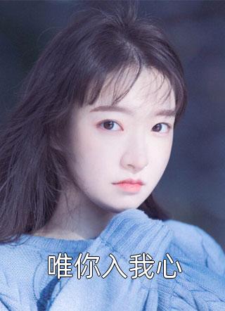 愿执手长夜漫漫小说陆昭昭陆斯宴