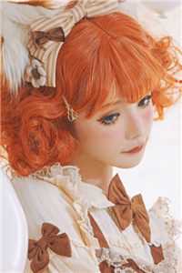 李正安刘建国的小说我欲登顶