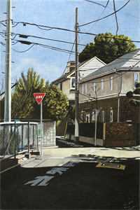 傅之南傅婉瑜的小说假凤凰是我自己